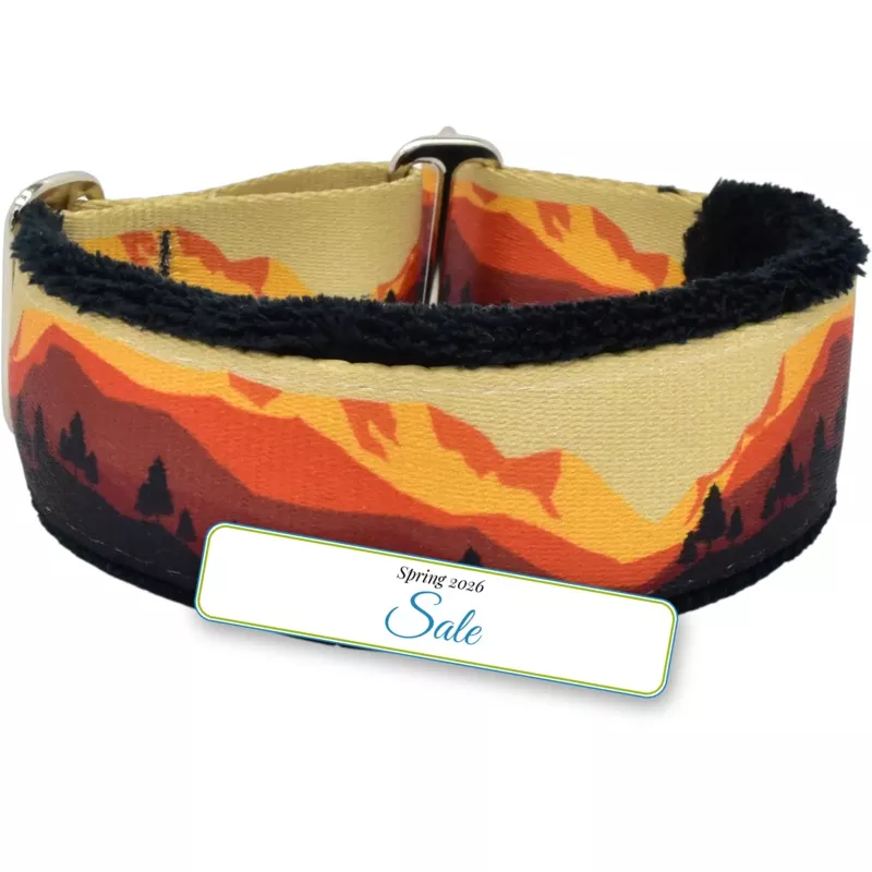 1.5″ Take a Peak Everyday Limited Slip Collar