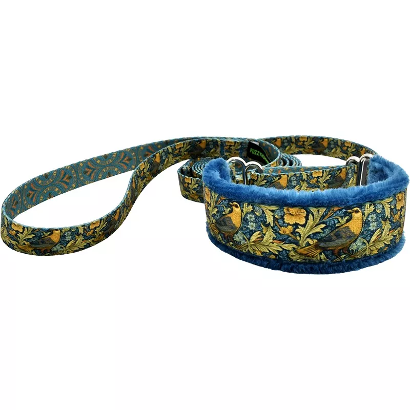 1″ Flight of Fancy Everyday Martingale Walking Lead