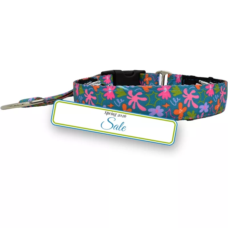 1″ Whimsy Private Trainer