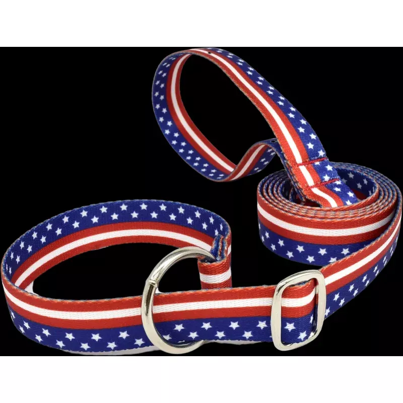 1″ x 6ft Simplicity Americana Slip Lead – multiple patterns