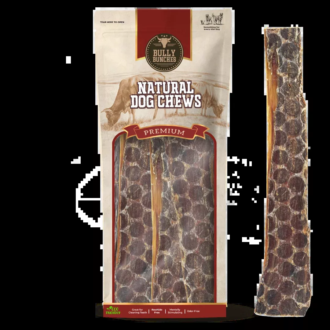 12 Inch Beef Jerky Strip