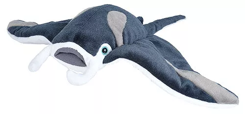 15 Inch CK Manta Ray