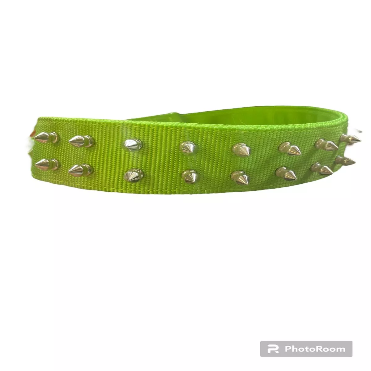20” PET COLLAR – LIGHT GREEN -SPIKE