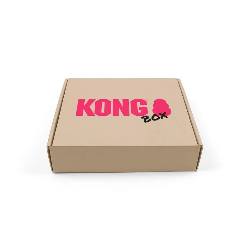 30% OFF: Kong x BARE Surprise Box