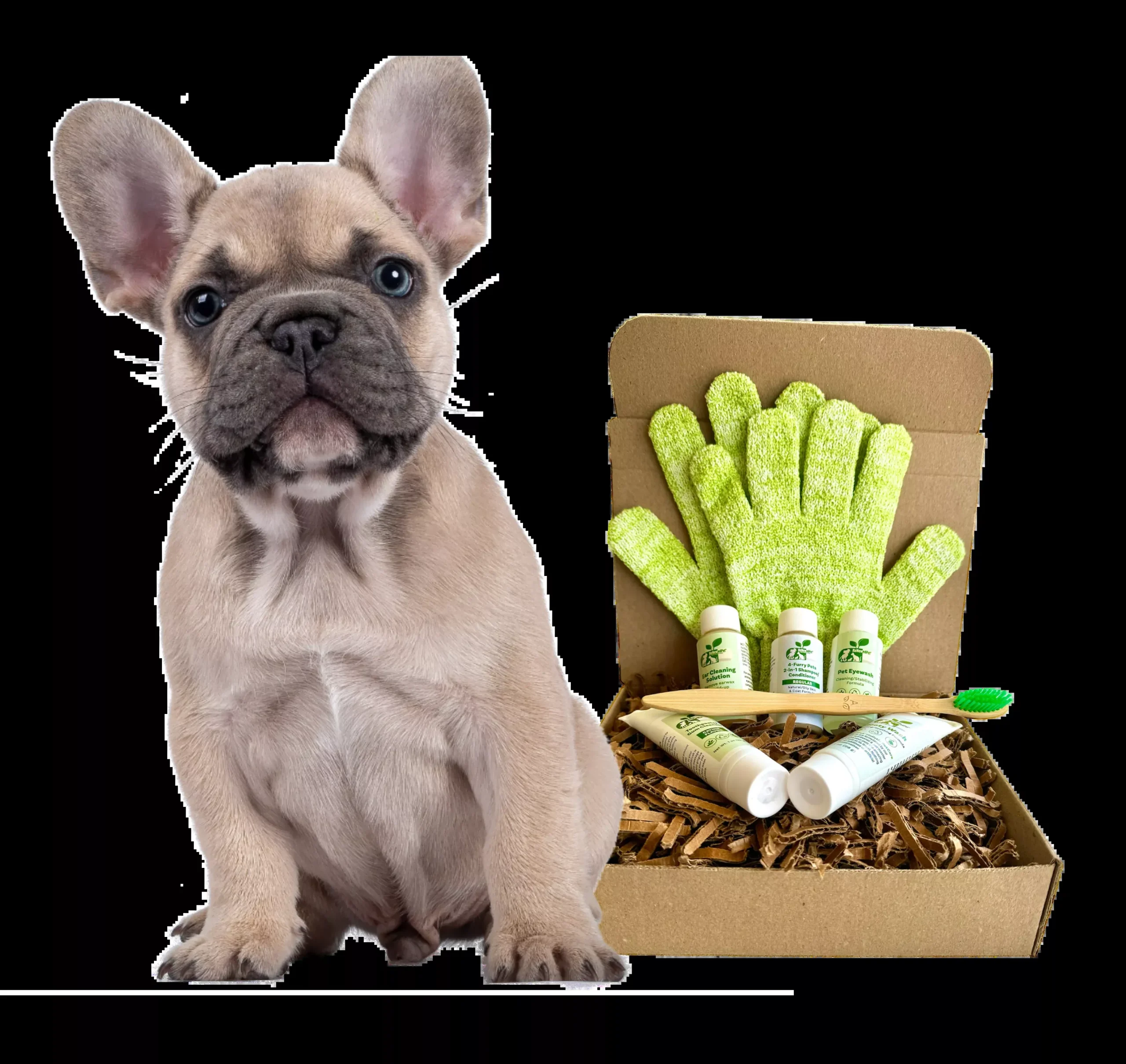 4-FURRY DOGS *REGULAR GROOMING KIT