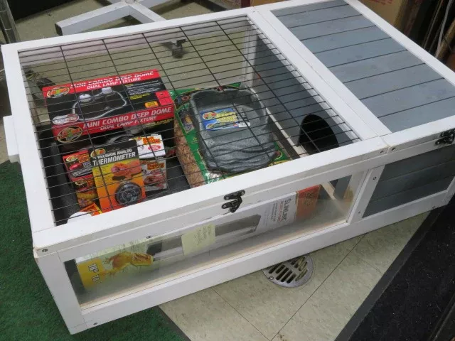 40 Juvenile Tortoise Starter Kit
