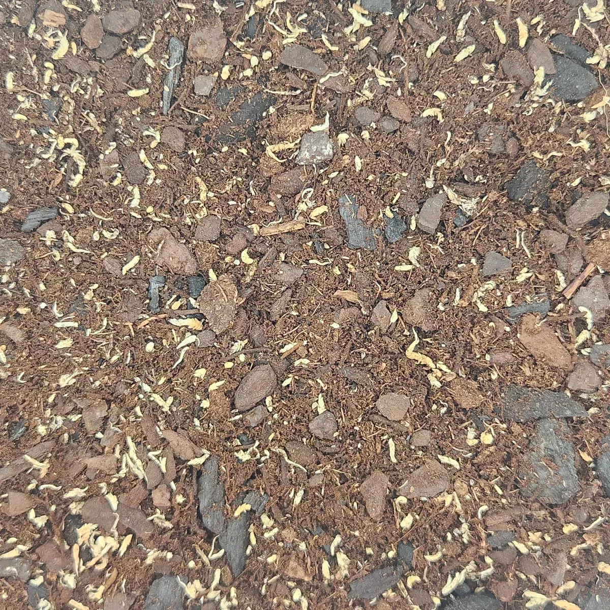 ABG Terrarium Substrate - 1 Gallon