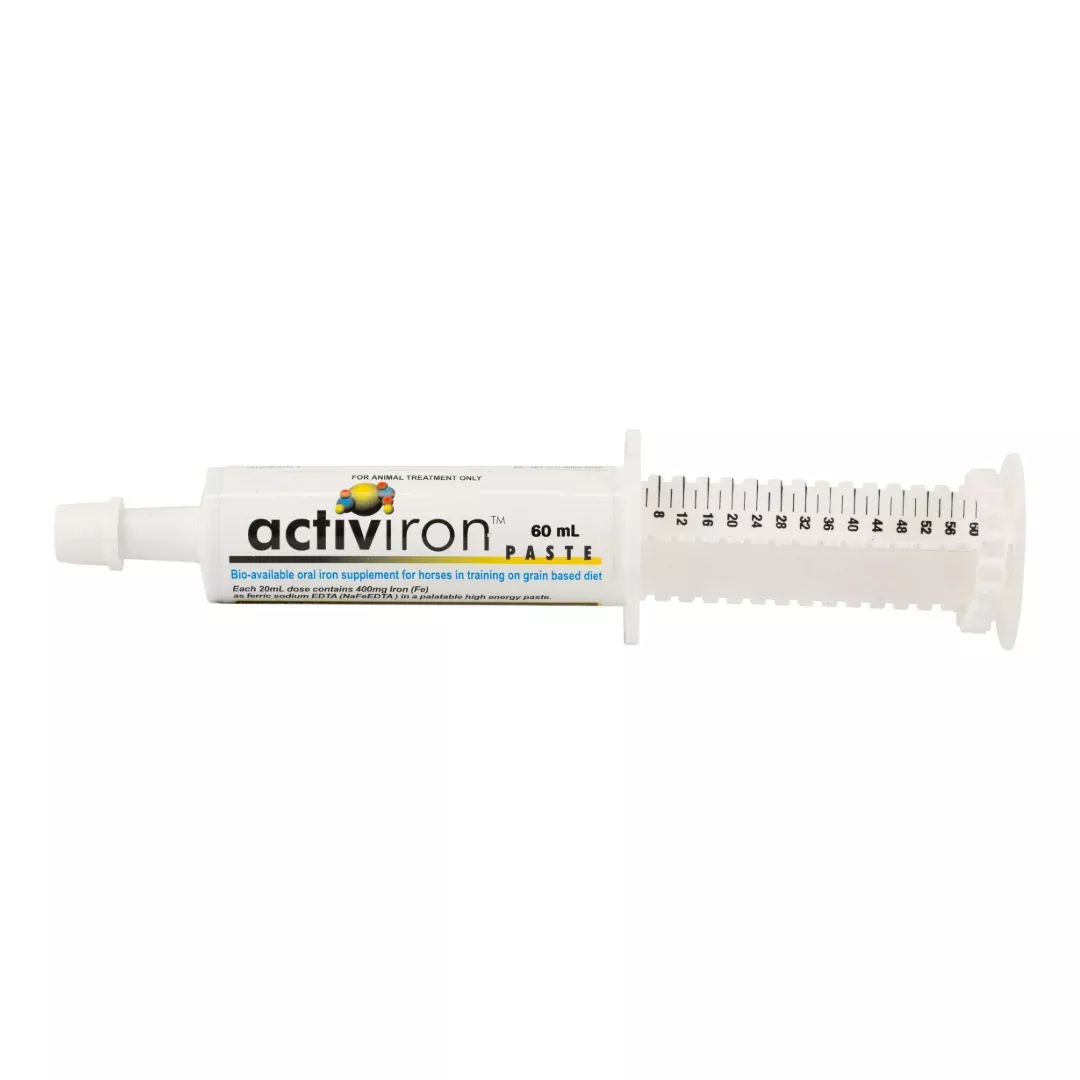 Activiron Paste 60ml