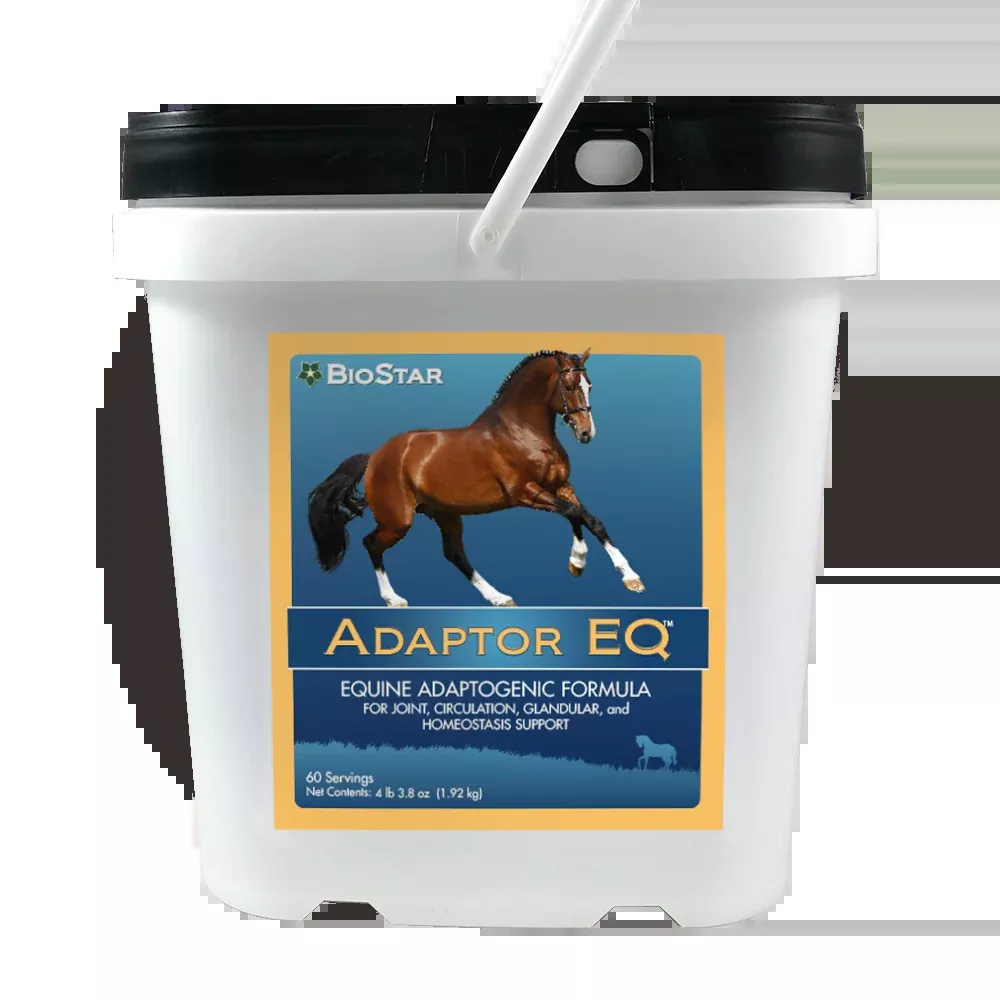 Adaptor EQ