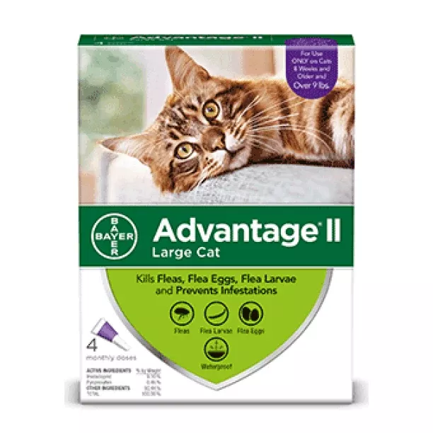 Advantage II For Large Cats