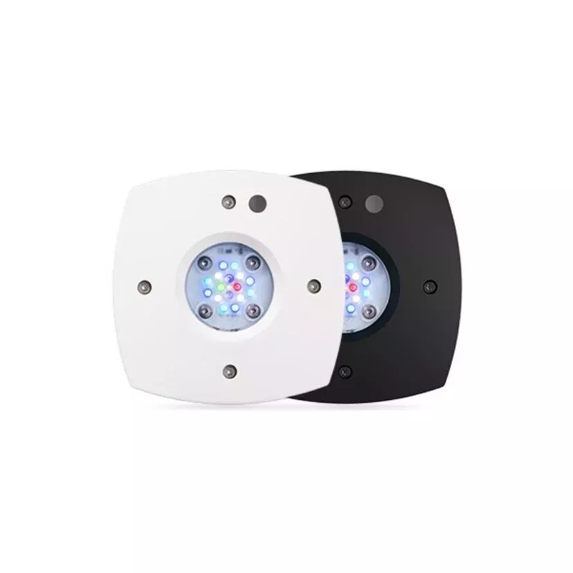 AI Prime™ 16HD Reef NEW