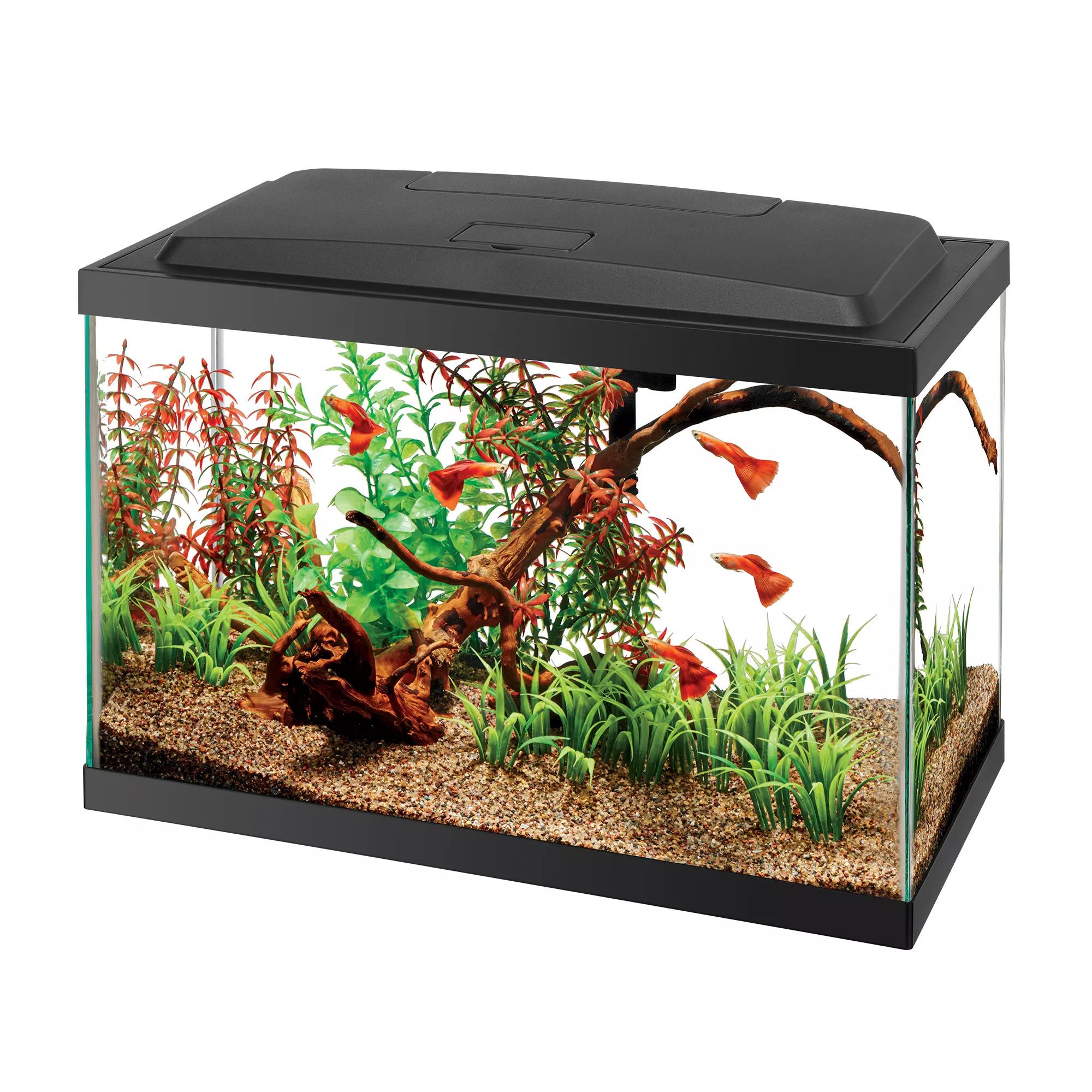 Aqueon LED Aquarium Kit Rectangle 5.5 Gallon