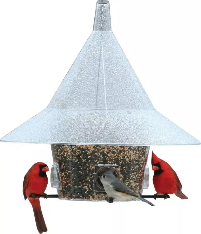 Arundale Mandarin Bird Feeder