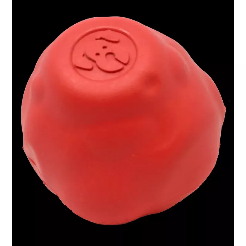 Asteroid Ultra Durable Rubber Chew Toy