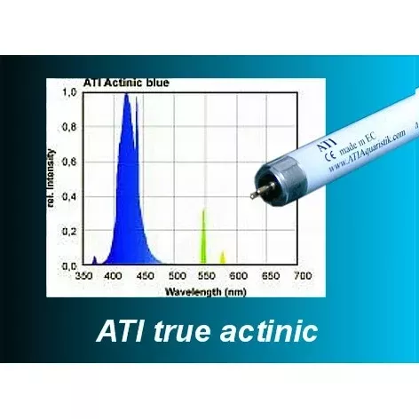 ATI True Actinic T5 HO