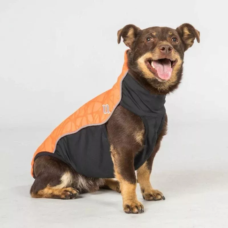 Back on Track Eddie High Visibility Dog Jumper