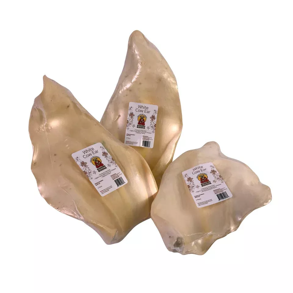 Barking Buddha Cow Ear