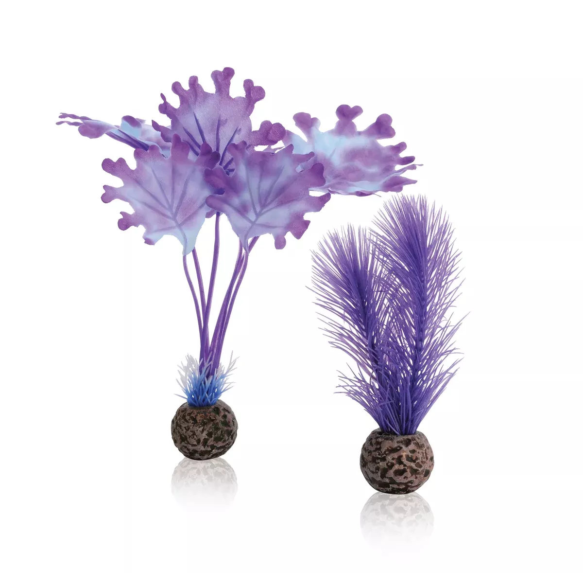 BiOrb Kelp set S purple