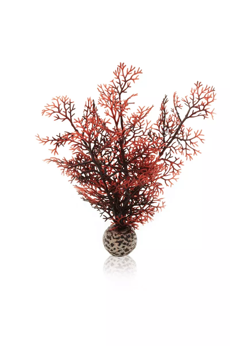 BiOrb Sea fan S crimson