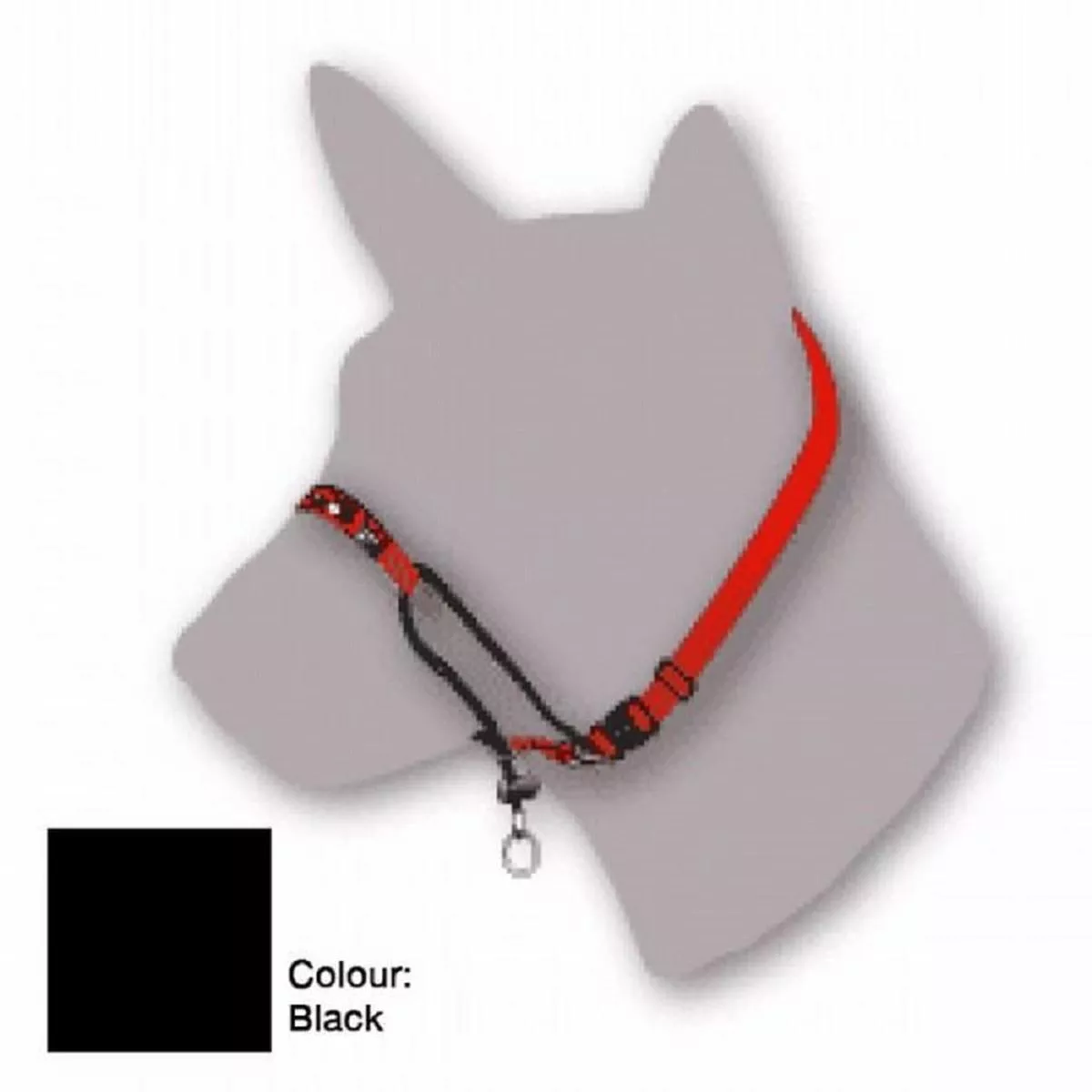 Black Dog Training Halter Black