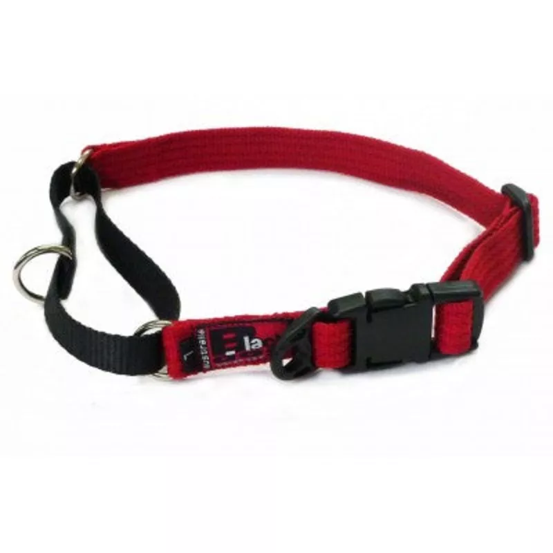 Black Dog Wear Training Collar Blue