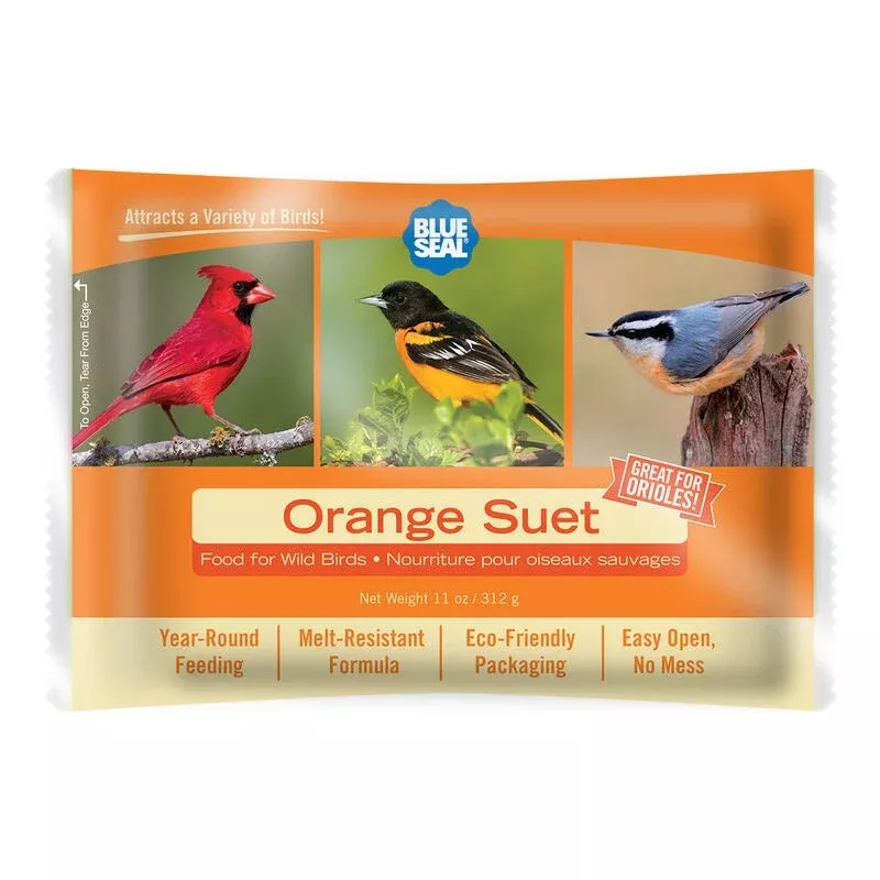 Blue Seal Orange Suet Cake | Staff Picks