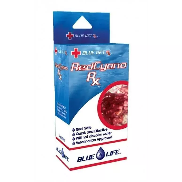 BlueLife Red Cyano Rx