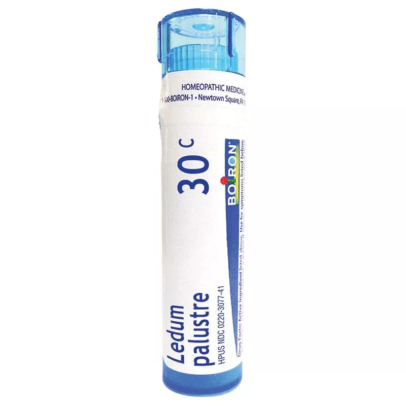 Boiron Ledum Palustre - 30C