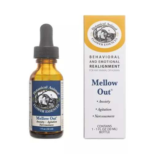 Botanical Animal | Mellow Out