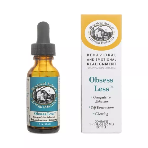 Botanical Animal | Obsess Less