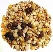 Breeder Popcorn Pigeon 50 lb