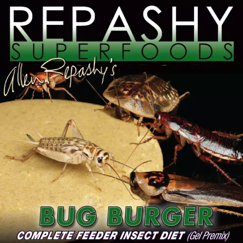 Bug Burger