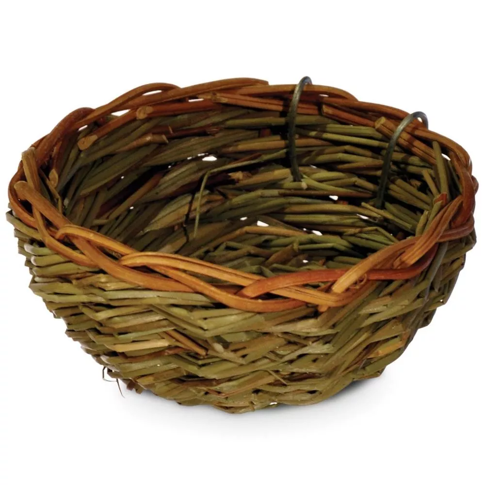 Canary Twig Nest