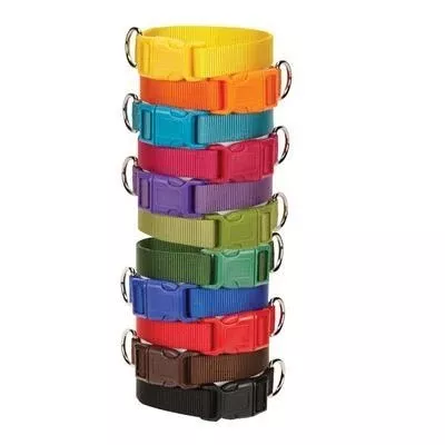 Casual Canine Nylon Dog Collar