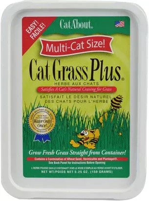 Cata'Bout Cat Grass Plus