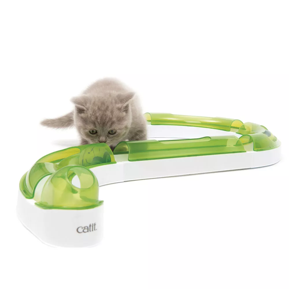 Catit, Senses Play Circuit