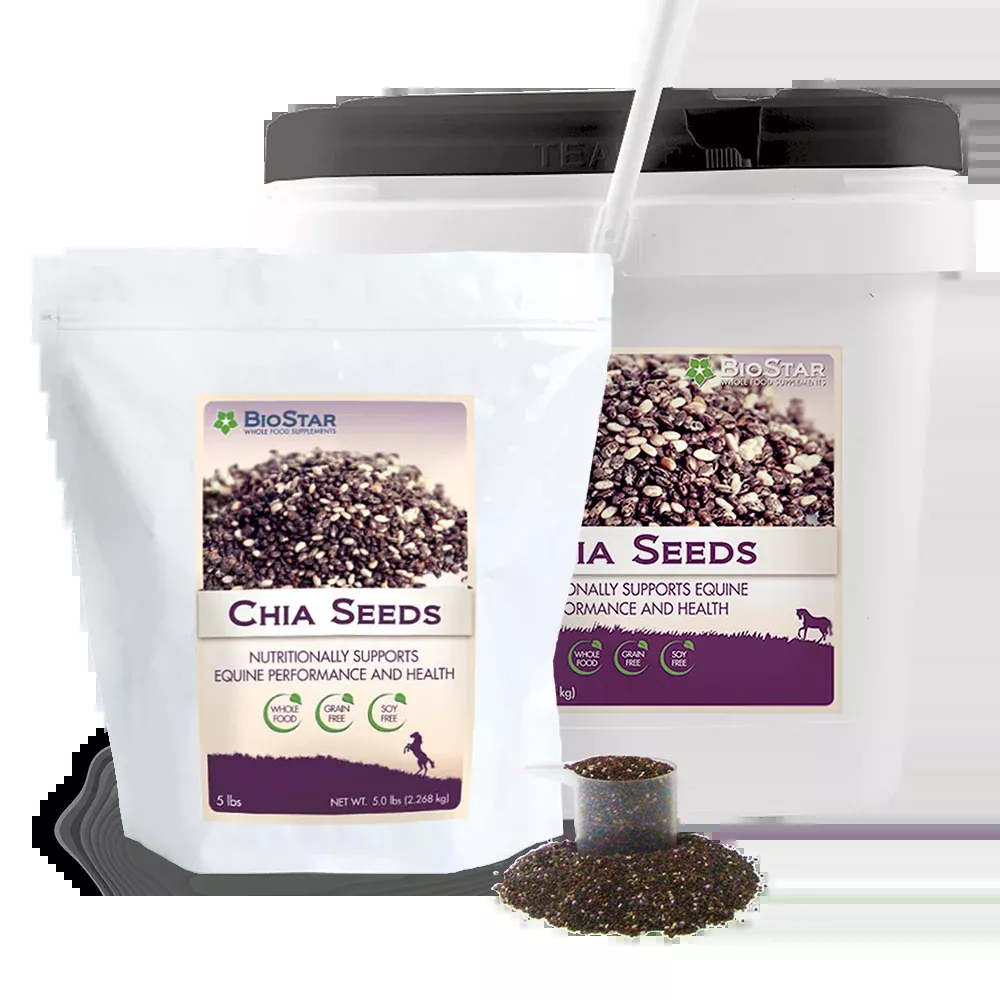 Chia Seeds