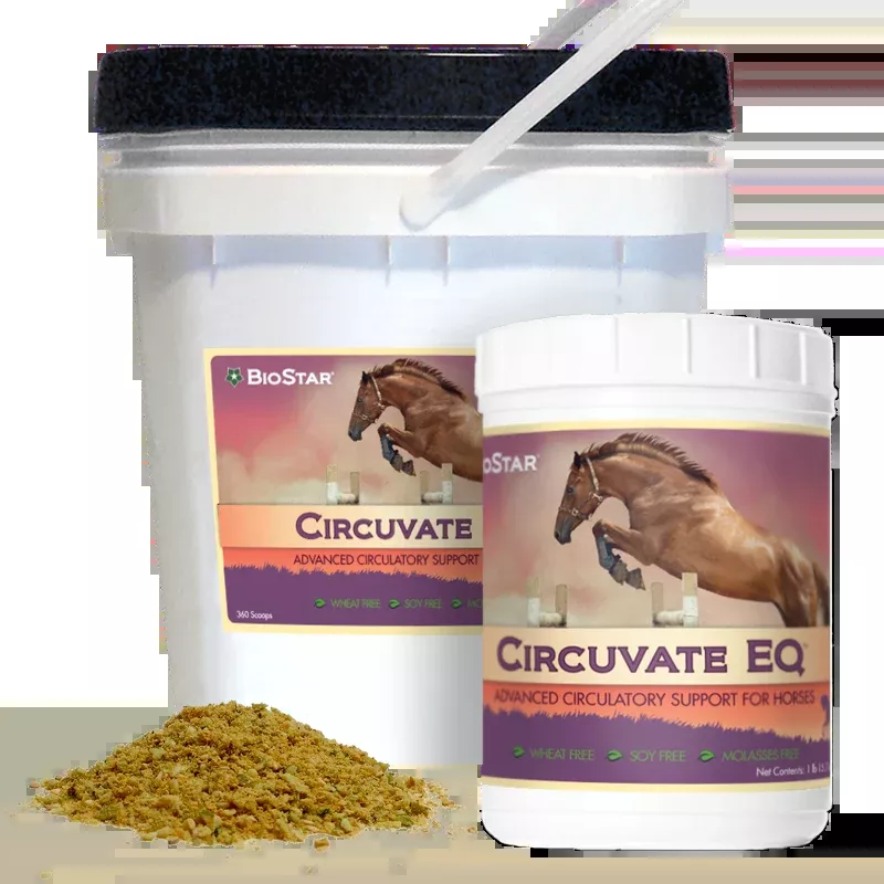 Circuvate EQ