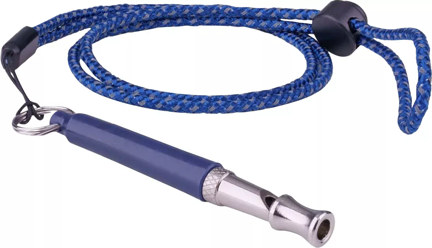 Coachi Professional Whistle