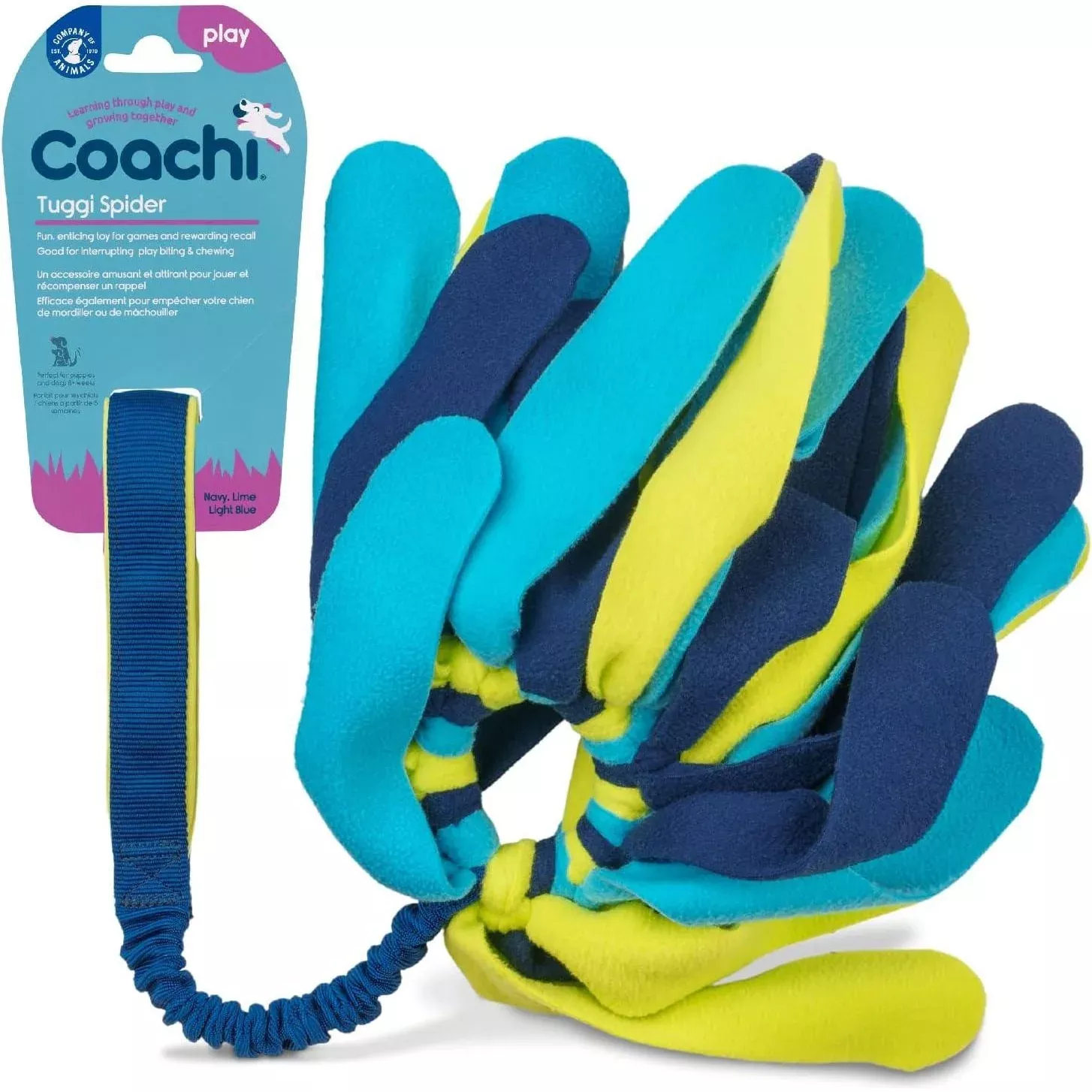 Coachi Tuggi Spider