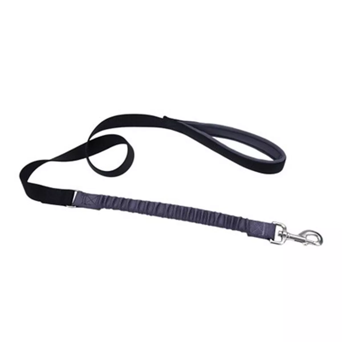 Coastal Bungee Dog Leash