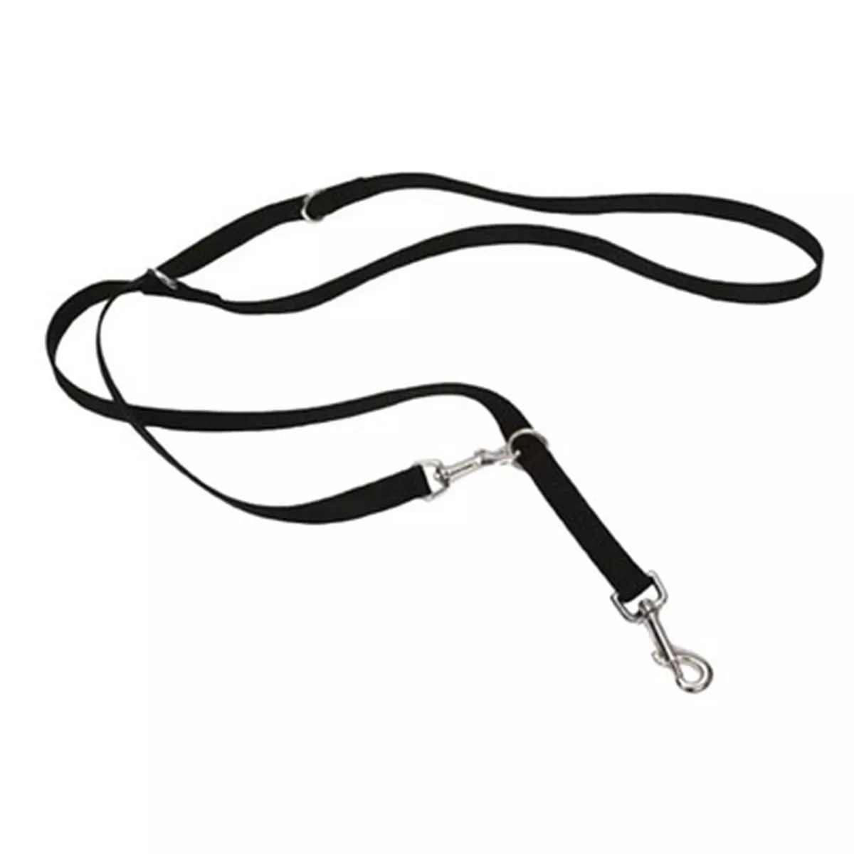 Coastal Multi Function Nylon Dog Leash