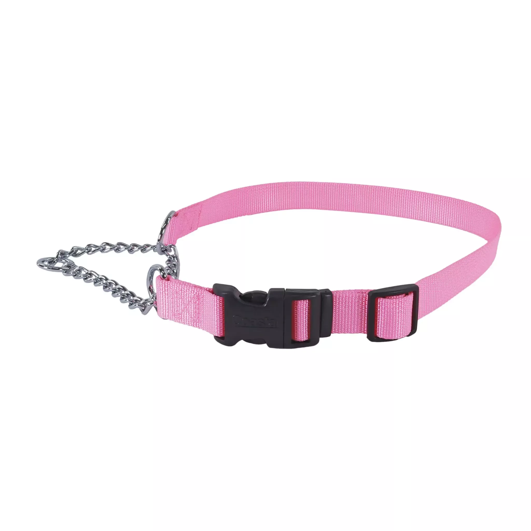 Coastal Pet Training Collar W Buckle