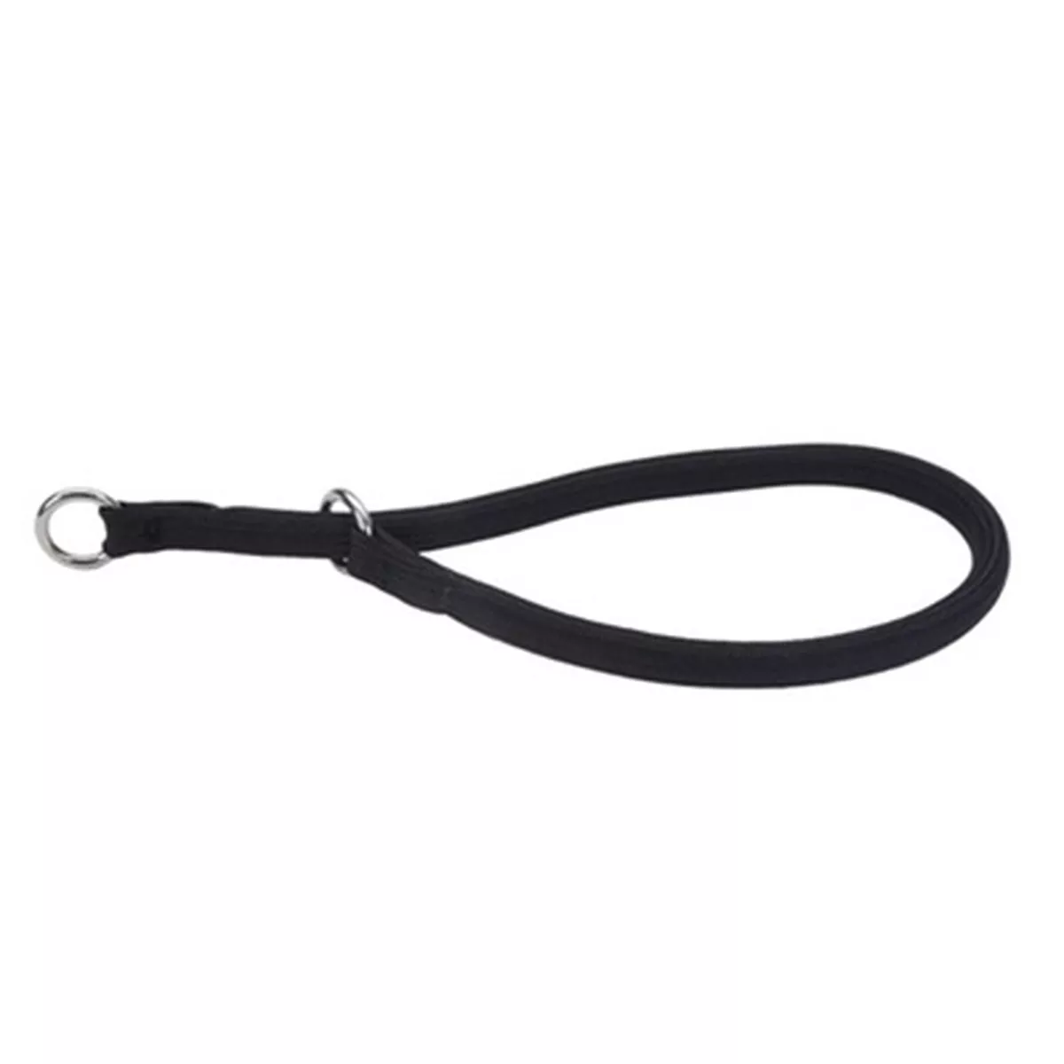 Coastal Round Nylon Dog Training Collar