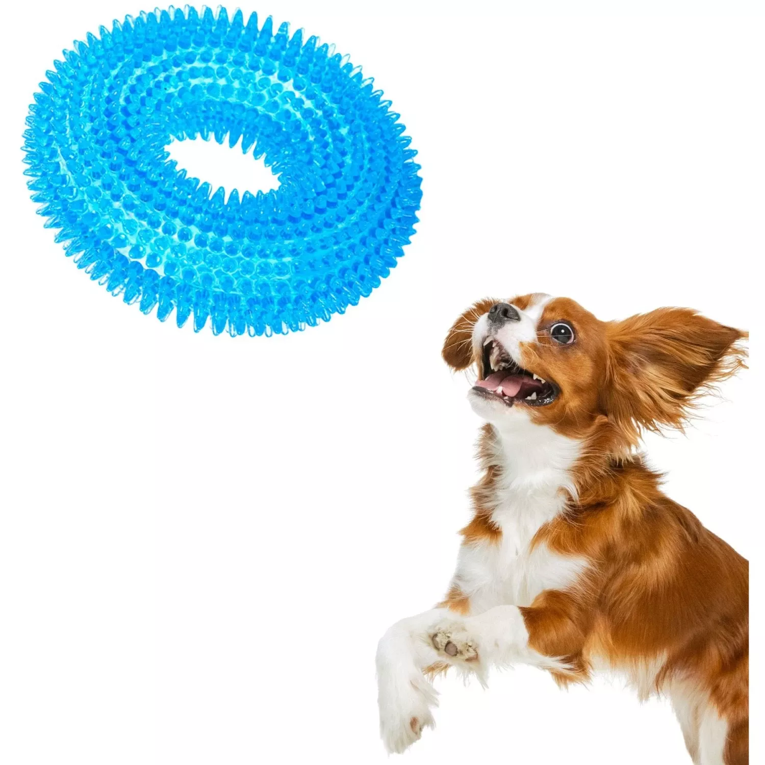 CoCoo Squeaky Dog Chew Toy