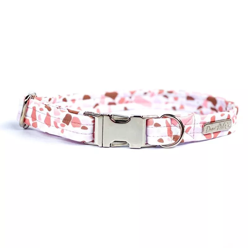 Collar Dapper Dog XSmall10MmSilver
