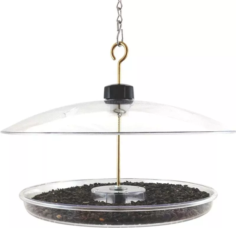 Covered Platform Feeder 14.75in Clear