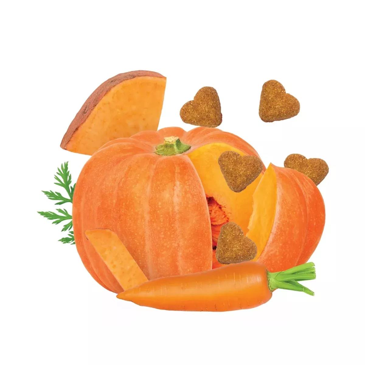 Darford Grain-Free Dog Biscuits - Pumpkin & Vegetable