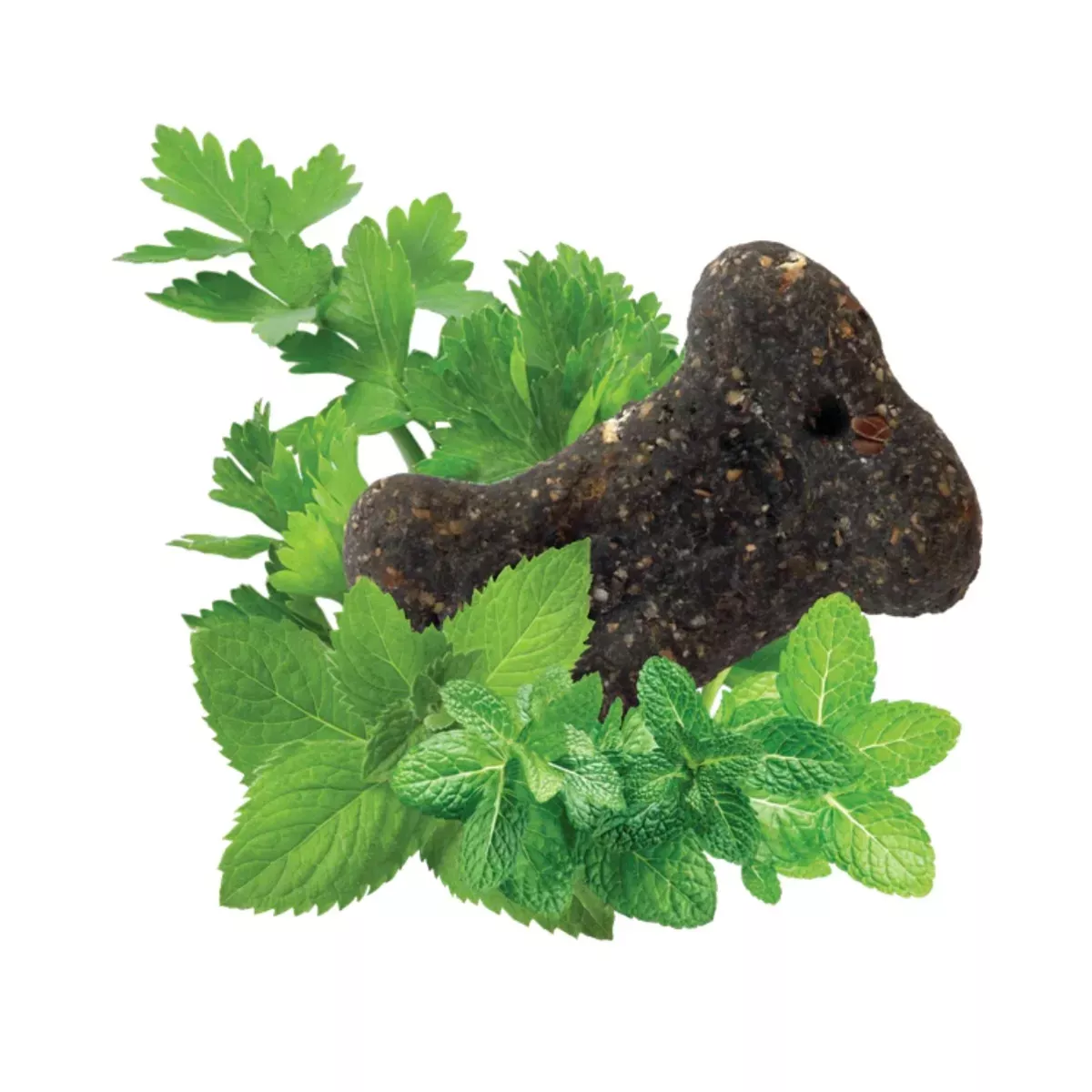 Darford Natural Dog Biscuits - Charmint