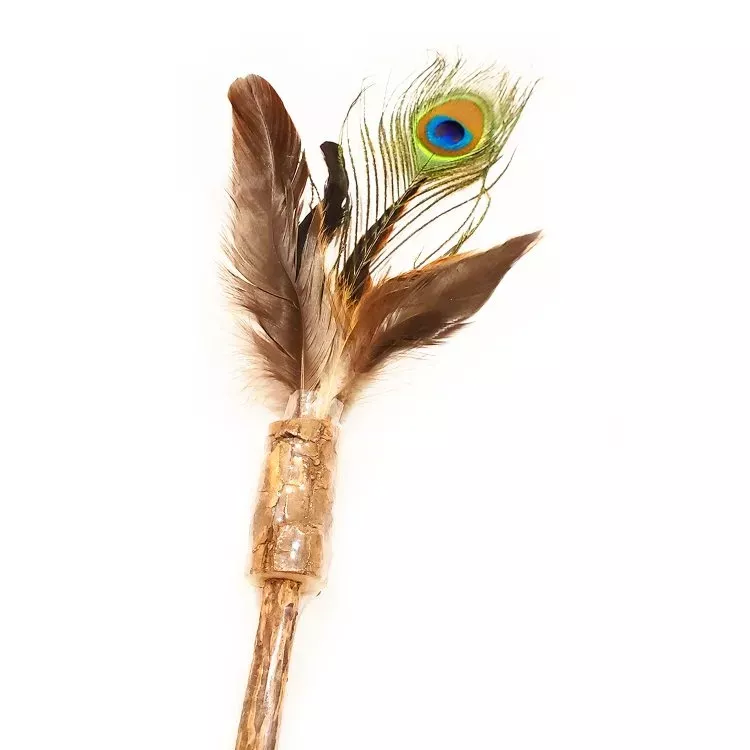 Define Planet Peacock Feather on Silver Vine Wand